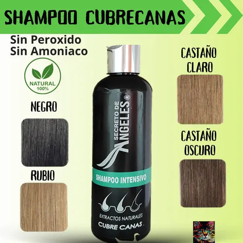 🧴✨ ¡DILE ADIÓS A LAS CANAS CON ESTILO NATURAL! 🔥 OFERTA ESPECIAL: SHAMPOO CUBRE CANAS X 1 UND + 2 OBSEQUIOS 💥